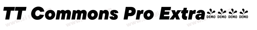 TT Commons Pro Extra字体转换